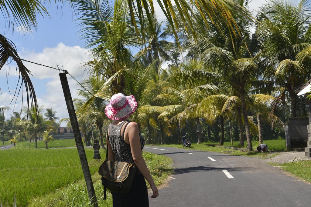 Angel House Ubud Eco Villa Bagian luar foto